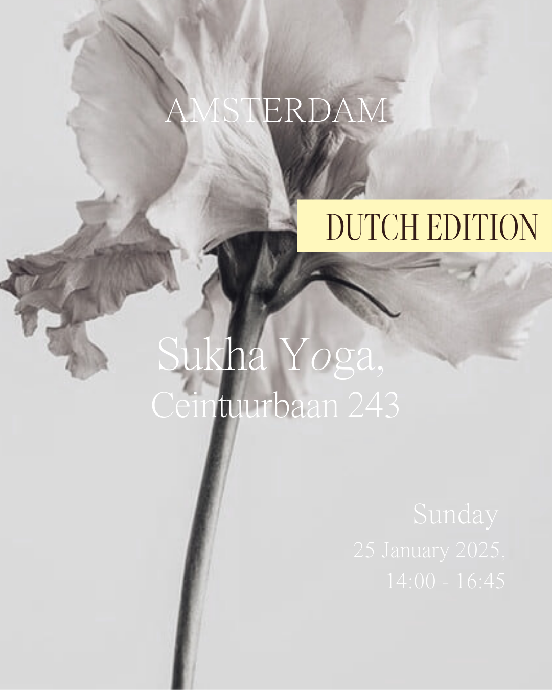 Ticket Women’s Circle | Connection & Self-Discovery NL EDITION #1